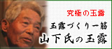 �ʘI�Â����؁@�R�����̋ʘI