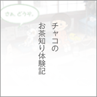 チャコのお茶知り体験記