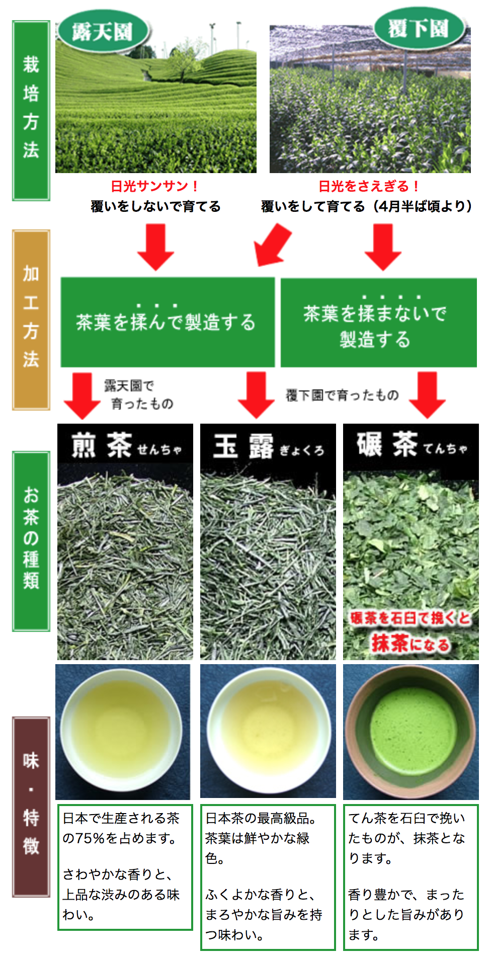煎茶：日本で生産される茶の75％を占めます。さわやかな香りと、上品な渋みのある味わい。玉露：日本茶の最高級品。茶葉は鮮やかな緑色。ふくよかな香りと、まろやかな旨みを持つ味わい。碾茶：てん茶を石臼で挽いたものが、抹茶となります。香り豊かで、まったりとした旨みがあります。